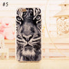 Lion, Leopard & Tiger iPhone Cases